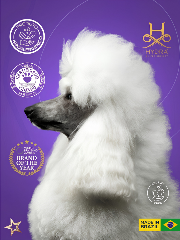 Portada Groomer 2026