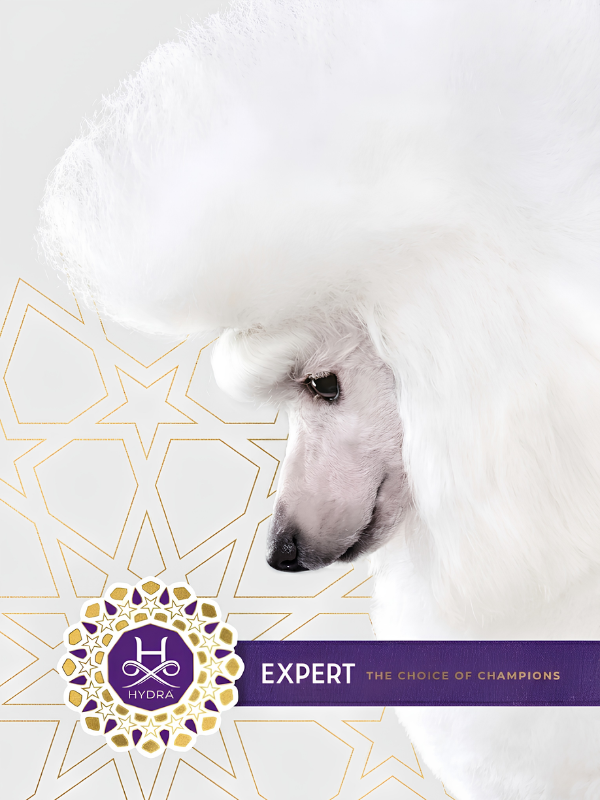 Portada Hydra Expert
